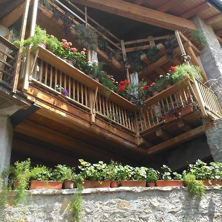 モーリ La Cort Di Nonna Rosa Bed & Breakfast エクステリア 写真