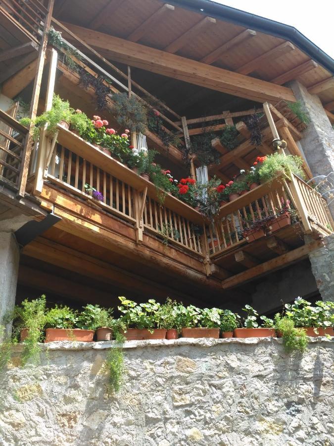 モーリ La Cort Di Nonna Rosa Bed & Breakfast エクステリア 写真